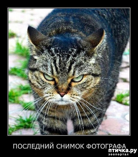 ���� 15: �����, ������ ������� ������