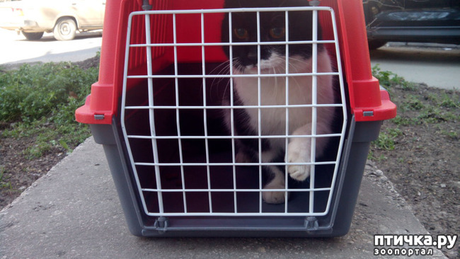 ���� 2: ��� ��� � ������!