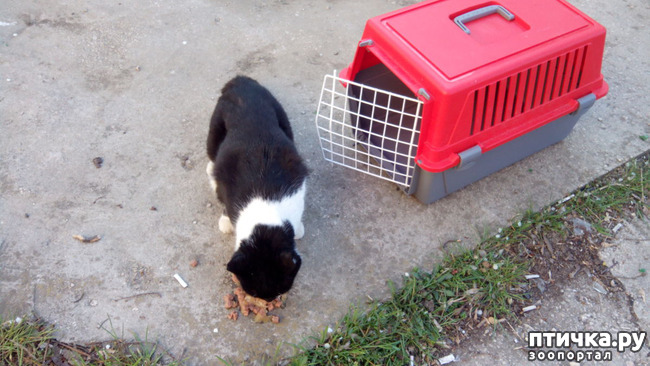 ���� 3: ��� ��� � ������!