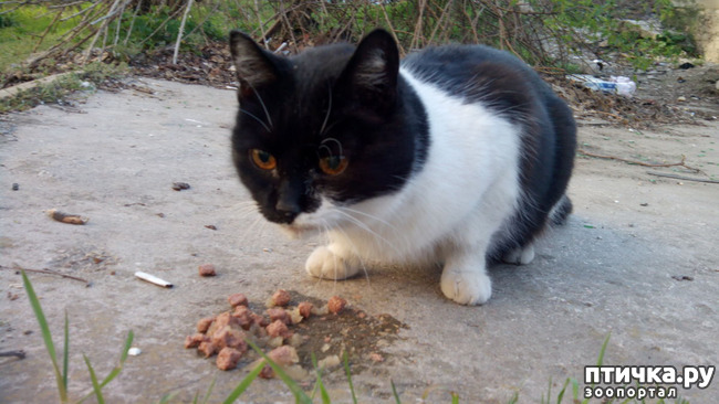 ���� 4: ��� ��� � ������!