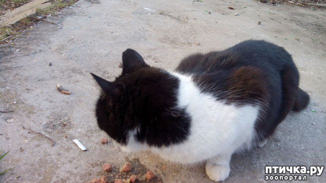 ���� 5: ��� ��� � ������!