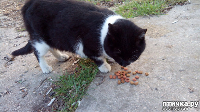 ���� 6: ��� ��� � ������!