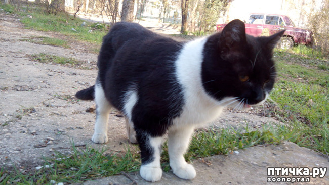 ���� 7: ��� ��� � ������!