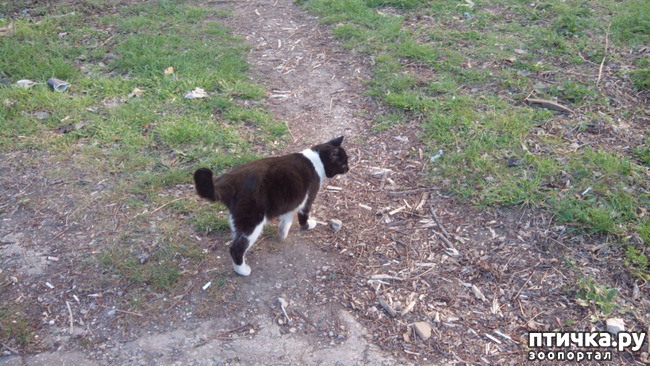 ���� 8: ��� ��� � ������!