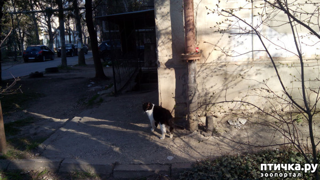 ���� 9: ��� ��� � ������!