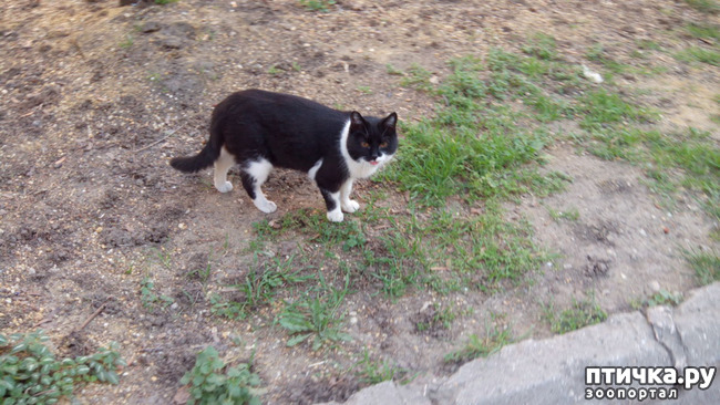 ���� 10: ��� ��� � ������!