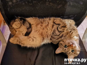 ����: ����� ������� � ��� ���-��������.