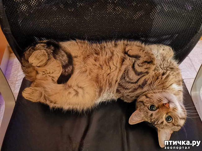 ���� 1: ����� ������� � ��� ���-��������.