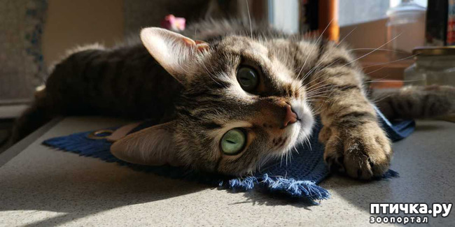 ���� 3: ����� ������� � ��� ���-��������.