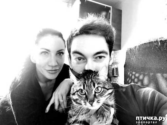 ���� 2: ����� ������� � ��� ���-��������.