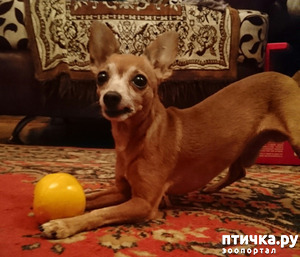 ����: ���� ������� ���� � ���� � �� ������� �����