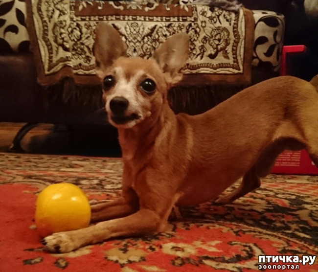 ���� 1: ���� ������� ���� � ���� � �� ������� �����