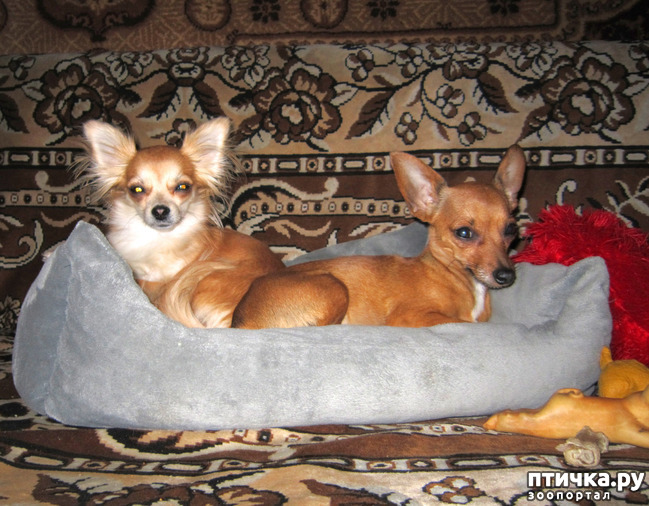 ���� 2: ���� ������� ���� � ���� � �� ������� �����