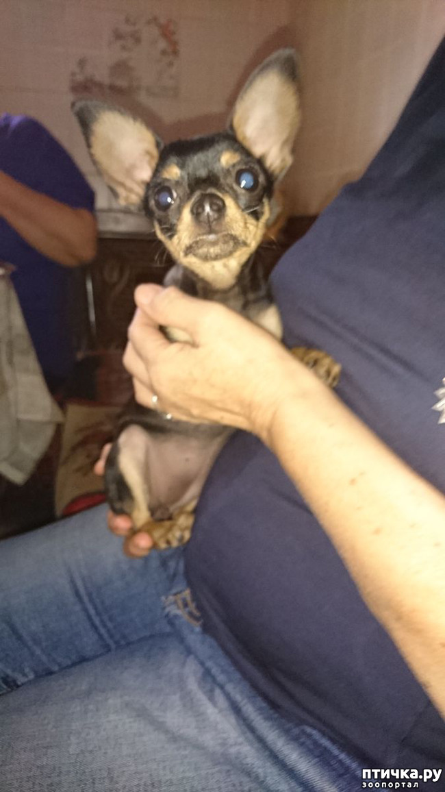 ���� 3: ���� ������� ���� � ���� � �� ������� �����