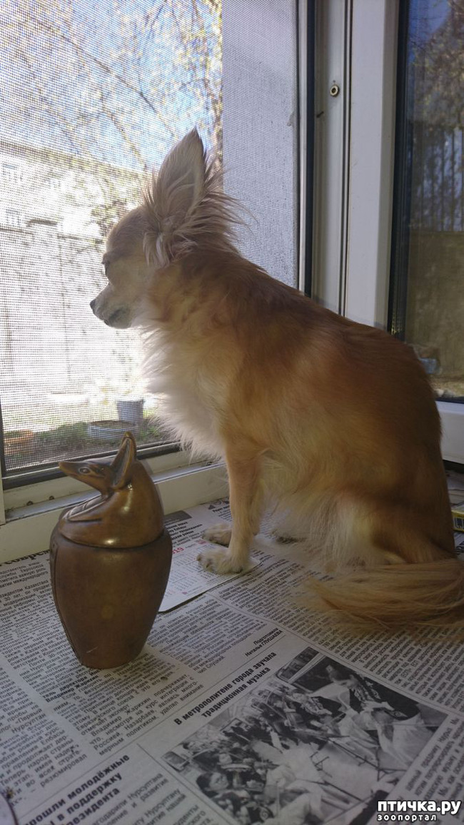 ���� 4: ���� ������� ���� � ���� � �� ������� �����