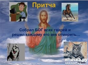 ����: ������ � ���, ��� ��� ������� ��� �������