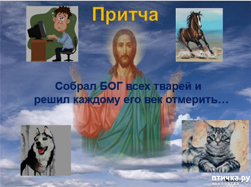 ���� 1: ������ � ���, ��� ��� ������� ��� �������