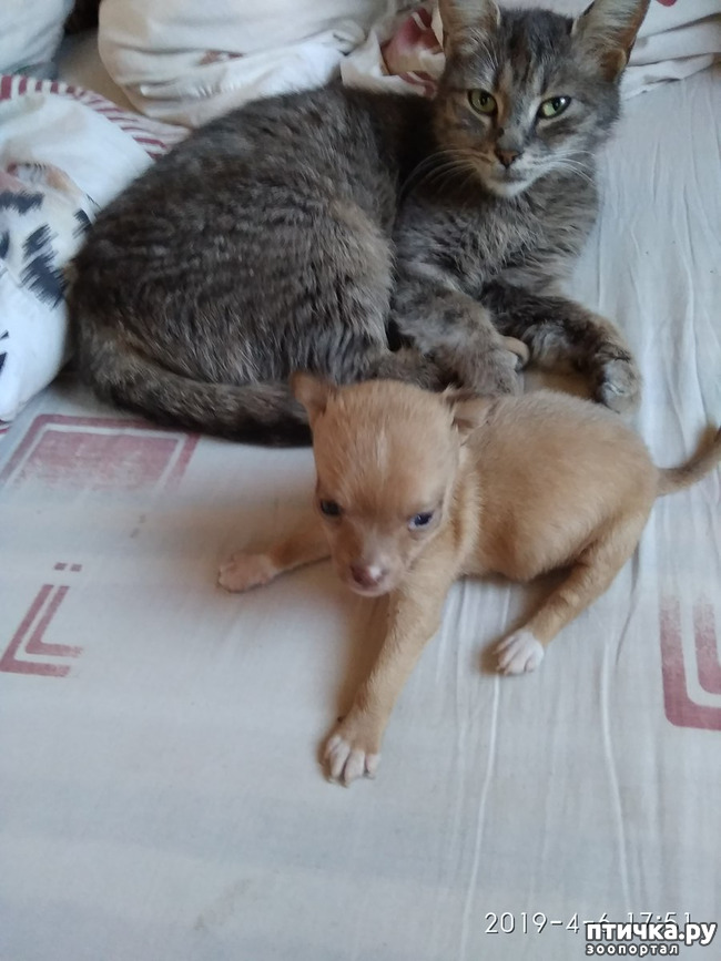 ���� 1: ��� �������