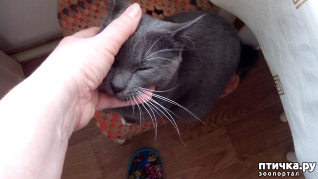 ���� 8: ��� ��� �������, ��� ����� �� �������?