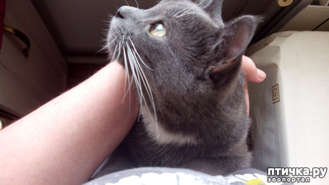 ���� 9: ��� ��� �������, ��� ����� �� �������?