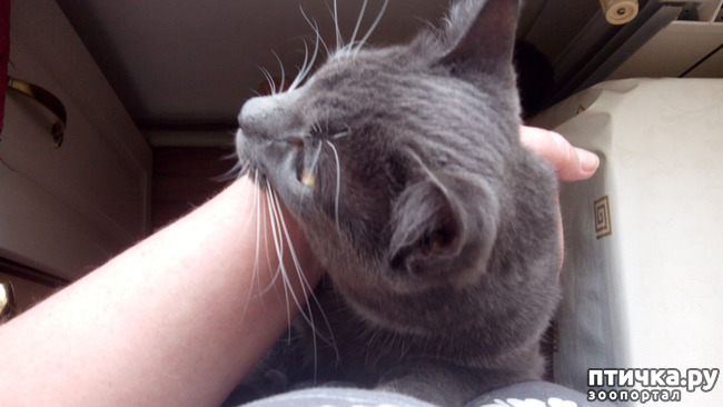 ���� 10: ��� ��� �������, ��� ����� �� �������?