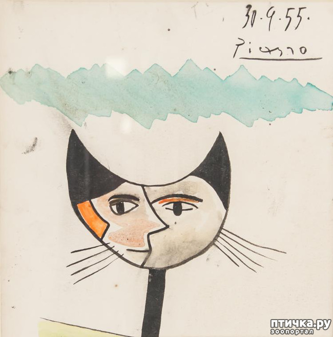 ���� 1: ��� ��� ��� ������������