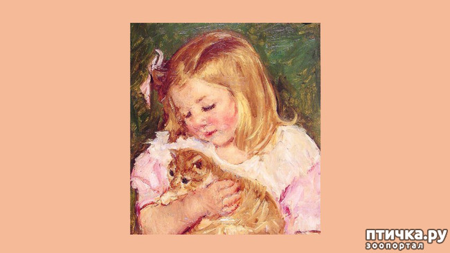 ���� 2: ��� ��� ��� ������������