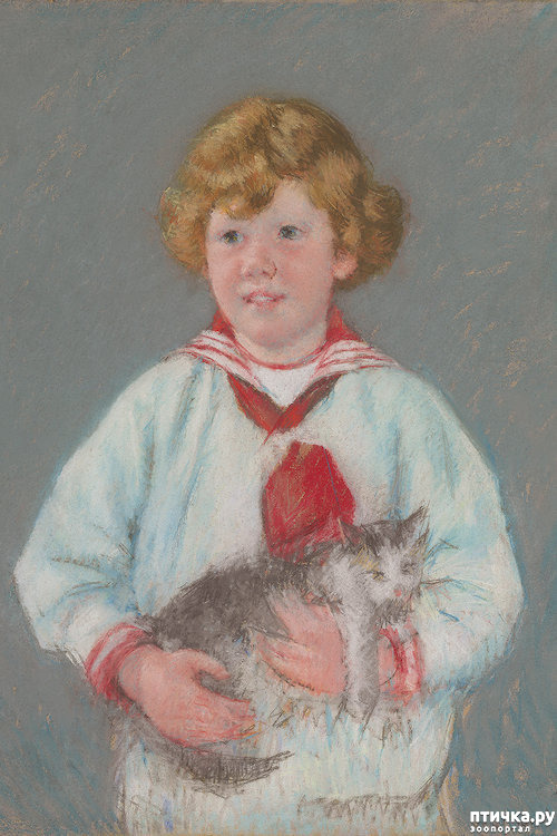 ���� 4: ��� ��� ��� ������������