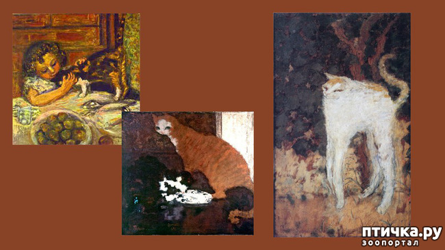 ���� 8: ��� ��� ��� ������������