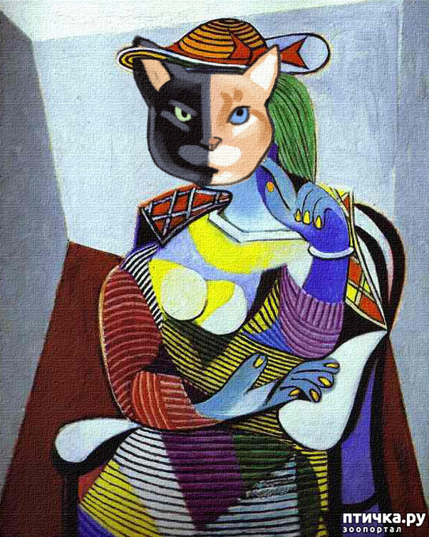 ���� 10: ��� ��� ��� ������������