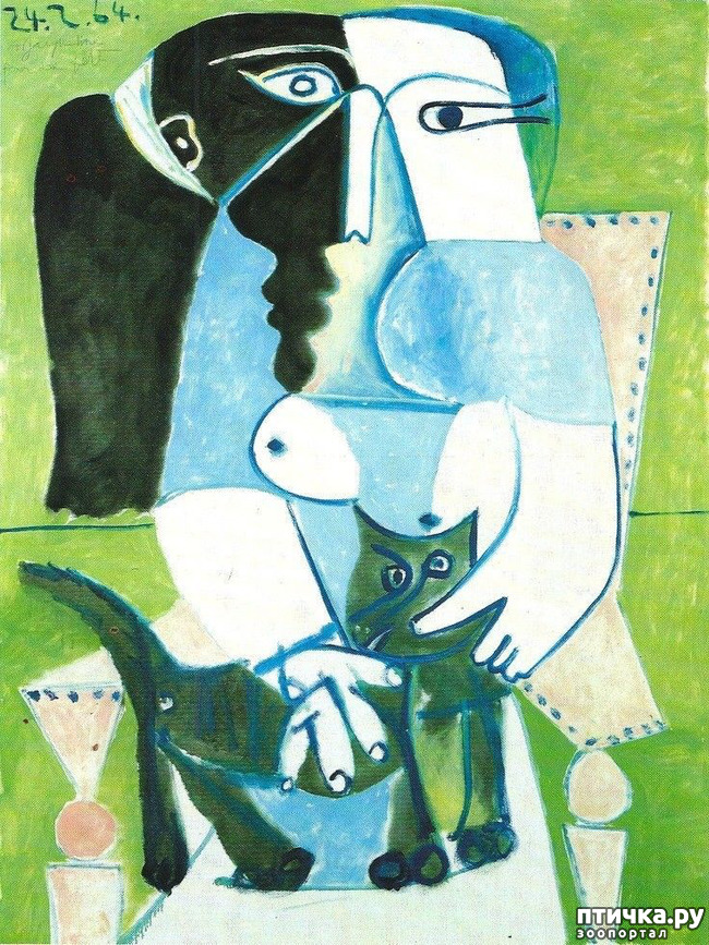 ���� 11: ��� ��� ��� ������������