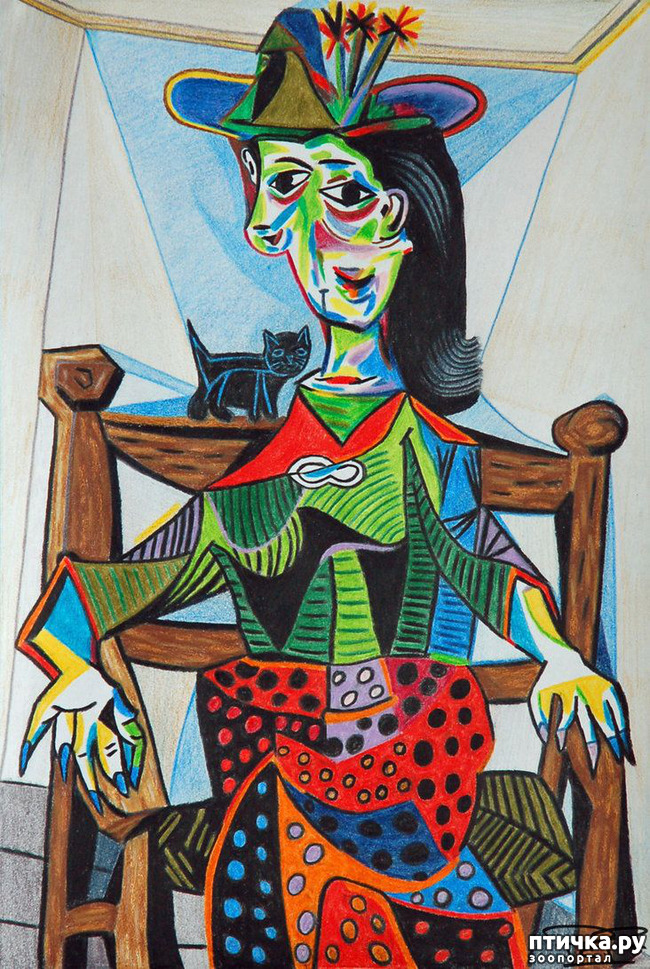 ���� 12: ��� ��� ��� ������������