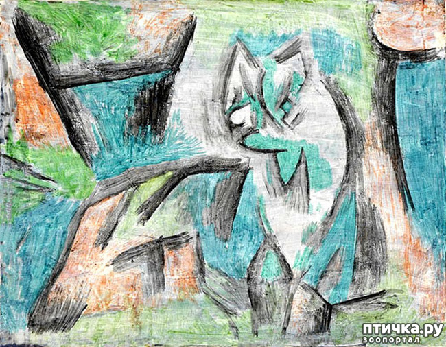 ���� 13: ��� ��� ��� ������������