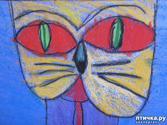 ���� 14: ��� ��� ��� ������������