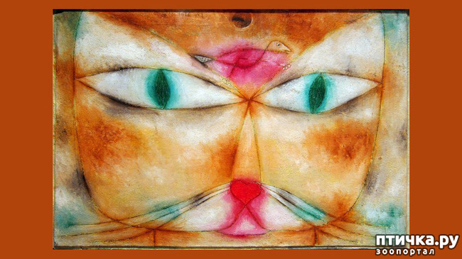 ���� 15: ��� ��� ��� ������������