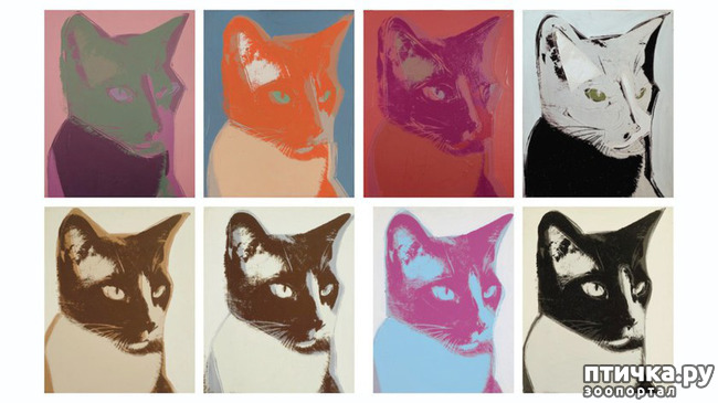 ���� 16: ��� ��� ��� ������������