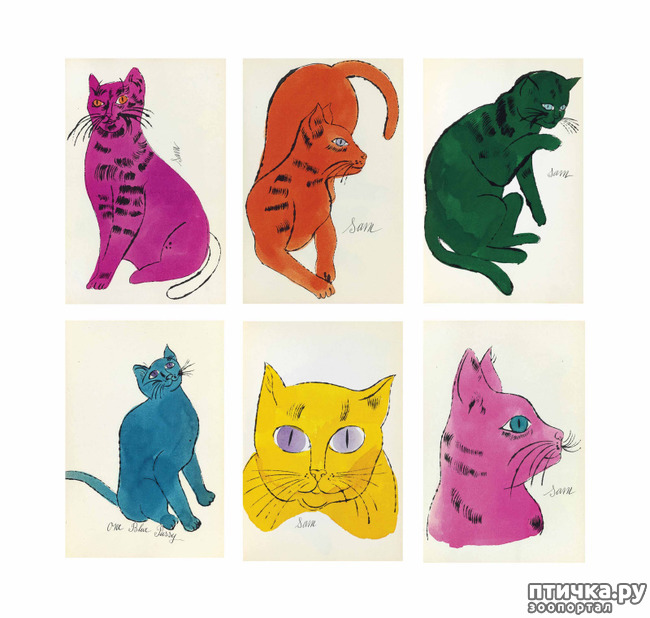 ���� 17: ��� ��� ��� ������������