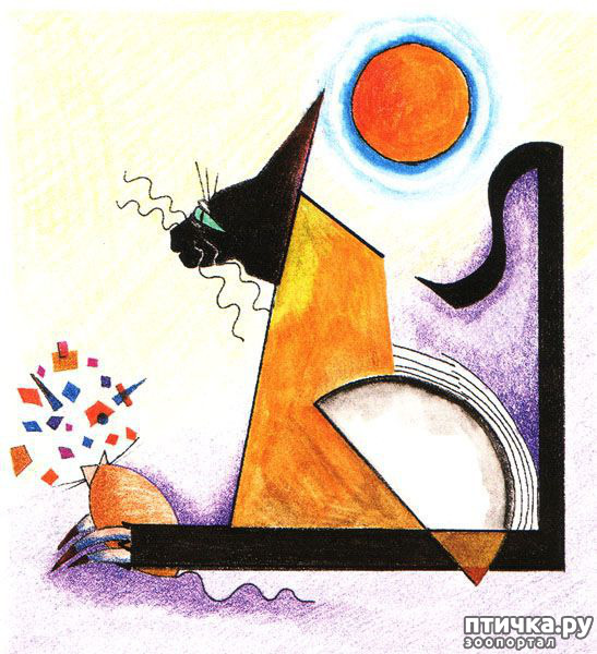 ���� 19: ��� ��� ��� ������������