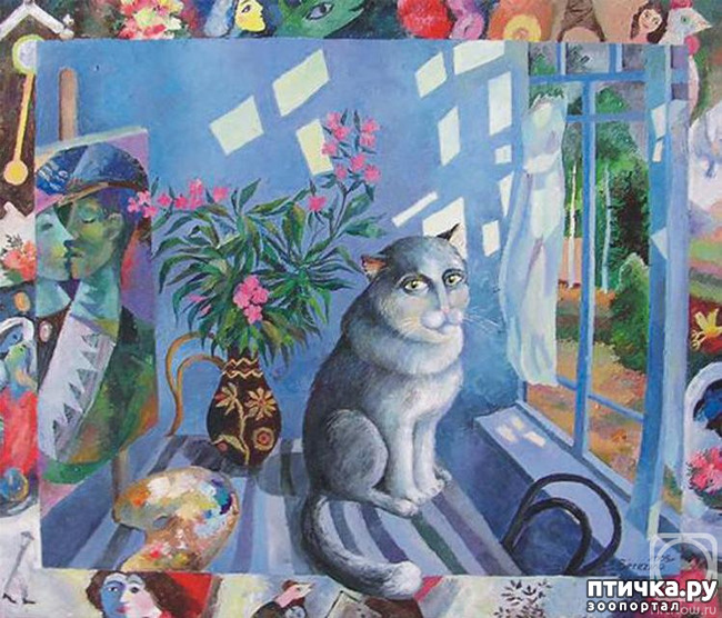 ���� 20: ��� ��� ��� ������������