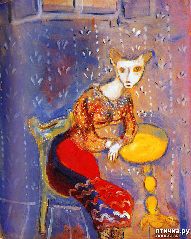 ���� 21: ��� ��� ��� ������������