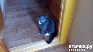 ����: ��� ��� �������, ��� ����� �� �������?