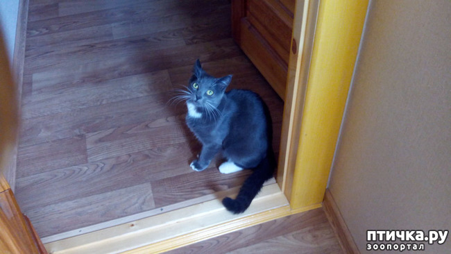 ���� 1: ��� ��� �������, ��� ����� �� �������?