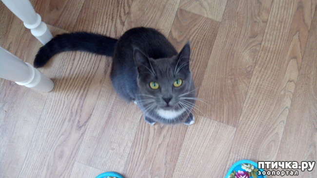 ���� 2: ��� ��� �������, ��� ����� �� �������?