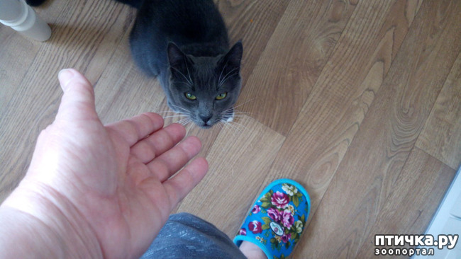 ���� 3: ��� ��� �������, ��� ����� �� �������?