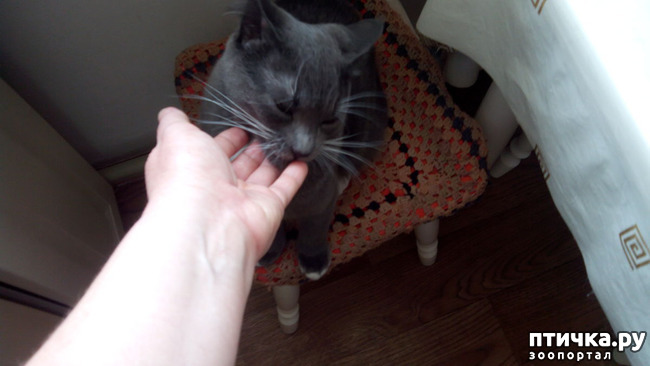 ���� 4: ��� ��� �������, ��� ����� �� �������?