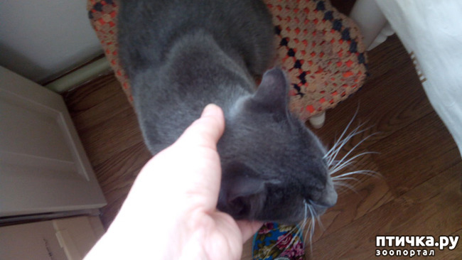 ���� 5: ��� ��� �������, ��� ����� �� �������?