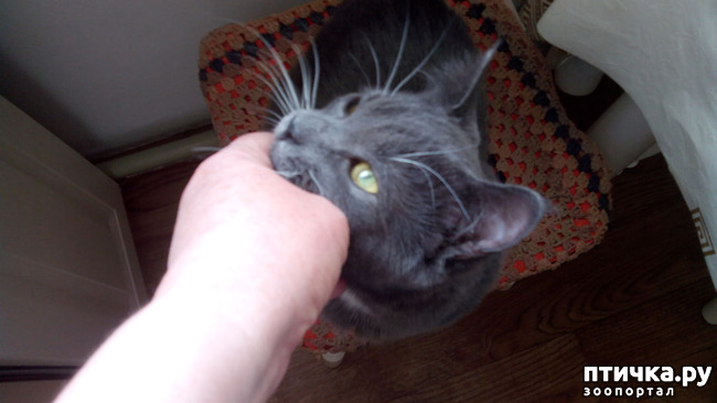 ���� 6: ��� ��� �������, ��� ����� �� �������?