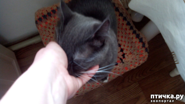 ���� 7: ��� ��� �������, ��� ����� �� �������?