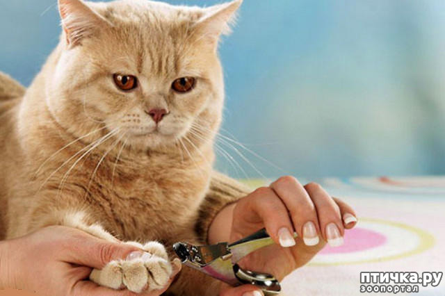 ���� 1: ��������� ������� ���������� ����������� ����� � ������� �������� �� �������� ������ � �����