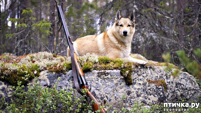 ���� 1: �����������